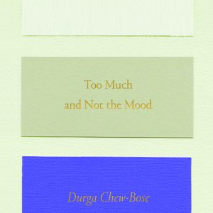 Too Much and Not the Mood: Essays